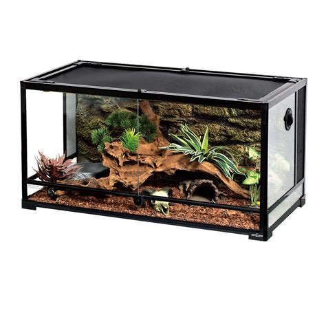 Glass Terrariums: Perfect Homes for Reptiles